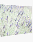 Floral Purple Canvas Wall Art, 'Lavender for LaLa'