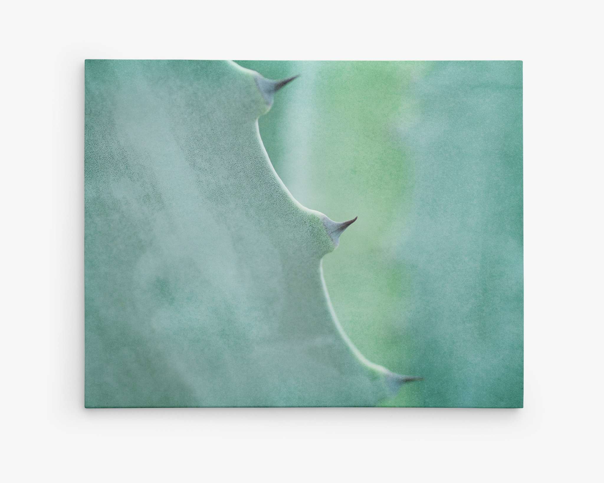 Mint Green Botanical Wall Art, &#39;Aloe Vera Spikes&#39;