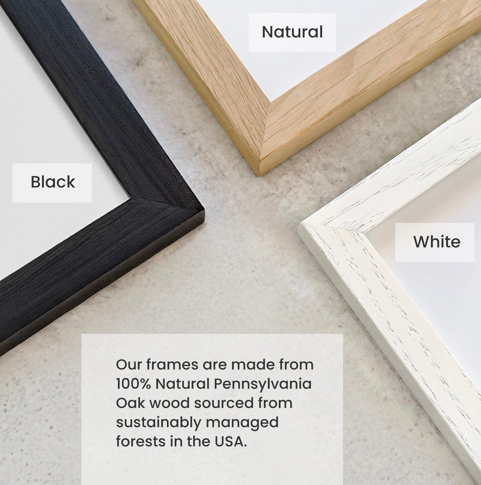 Three picture frames in black, natural, and white on a light surface with text that says "Our frames are made from 100% Natural Pennsylvania Oak Wood sourced from sustainably managed forests in the USA.