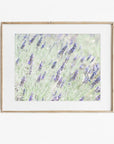 Floral Purple Print, 'Lavender for LaLa'