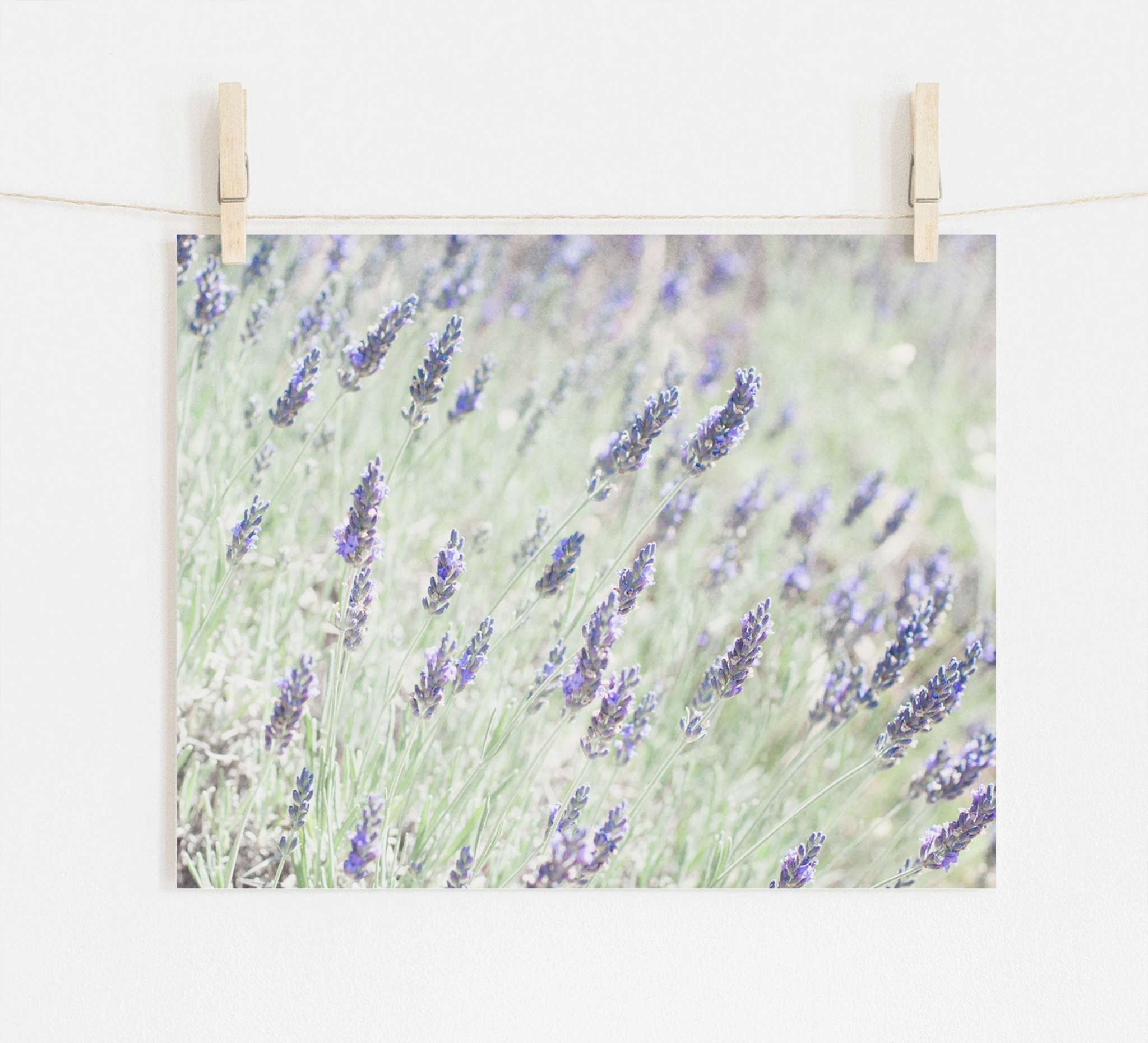 A photograph of a Floral Purple Print, 'Lavender for LaLa' printed on archival photographic paper, pinned to a string with wooden clothespins on a plain, bright background by Offley Green.