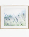 Rustic Farmhouse Floral Wall Art, 'Buds of Lavender'