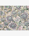 Pastel Green Botanical Print 'Succulents Forever'
