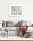 A cozy living room featuring a white sofa adorned with stylish patterned cushions, a red throw blanket, and a small round table. A framed Offley Green Rustic Floral Print, 'Lavender for Bees', printed on archival photographic paper.