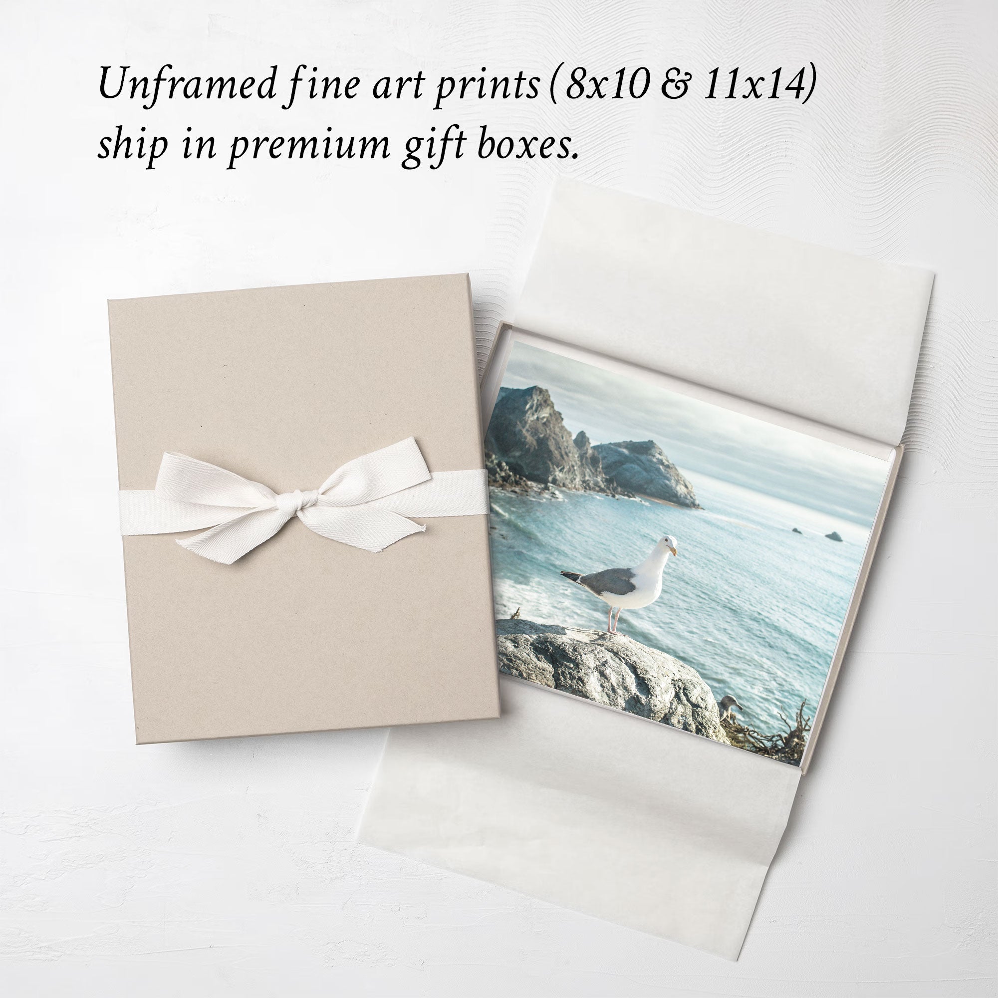 Big Sur Coastal Seagull Print, &#39;Bird on Rock&#39;