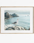 Big Sur Coastal Seagull Print, 'Bird on Rock'