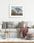 California Landscape Art in Big Sur, 'Wind Blown Tree'