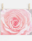 Pink Rose Print, 'Pink and Shabby'