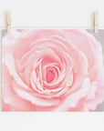 A close-up photo of a Pink Rose Print in bloom, displaying its detailed petals, is pinned by wooden clothespins on a string against a white wall. (Offley Green)