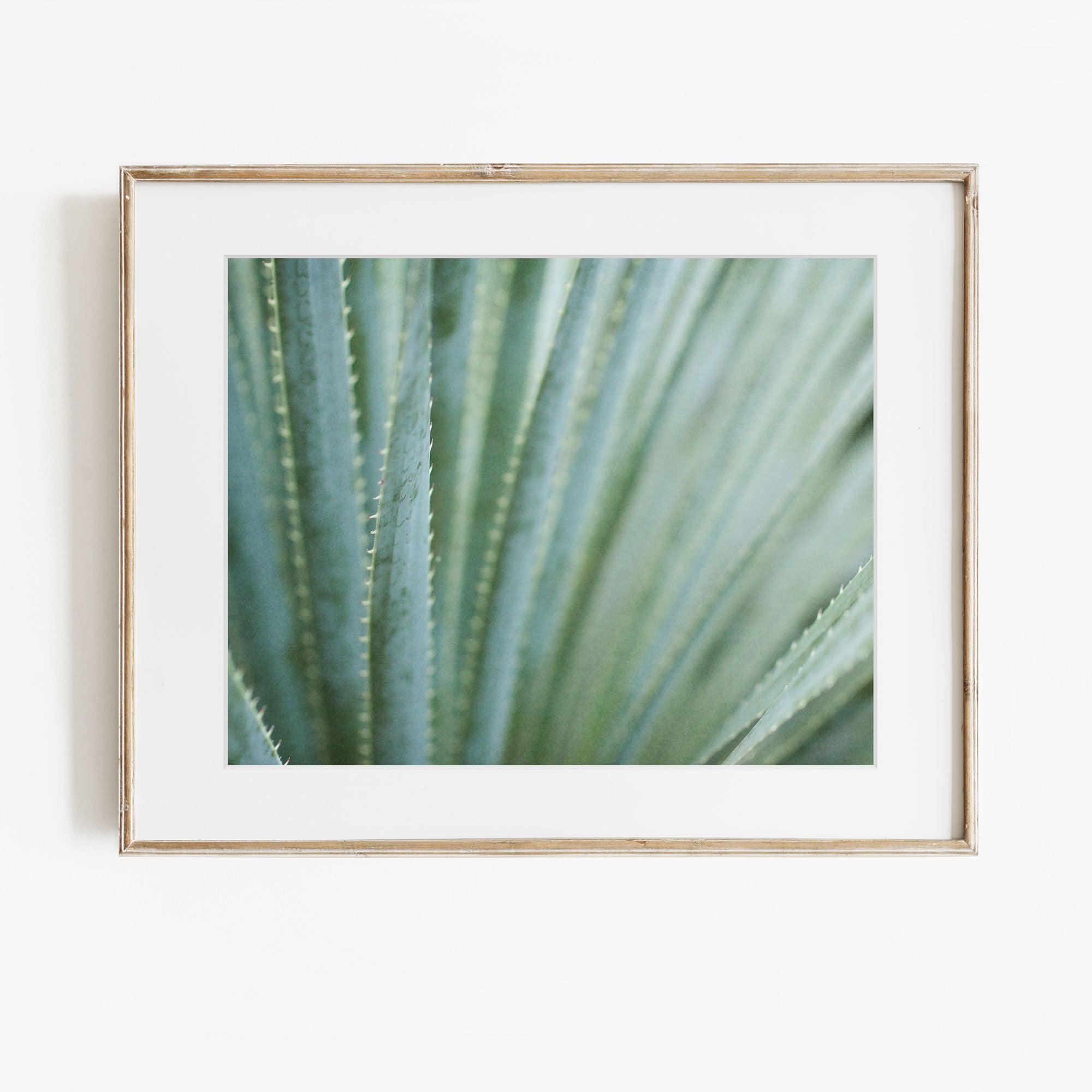 Framed artwork of a close-up of green plant leaves on a white background