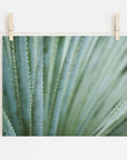 Abstract Green Botanical Print, 'Strands and Spikes'