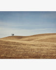 California Central Coast Landscape Print 'Golden Ynez'