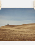California Central Coast Landscape Print 'Golden Ynez'