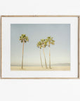 California Beach Palm Tree Print, 'Boardwalk Palms'