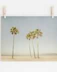 California Beach Palm Tree Print, 'Boardwalk Palms'