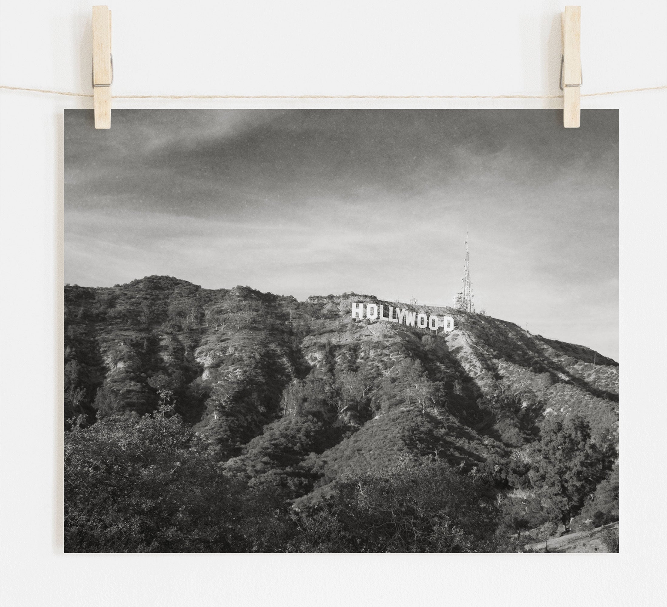 Black and white film noir photograph of the Offley Green Hollywood Sign Black and White Vintage Print, &#39;Old Hollywood&#39; pinned up, set against a backdrop of a leafy hill with broadcasting antennas. The image has a rustic and vintage feel.
