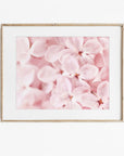Pink Botanical Print, 'Bed of Lilacs'