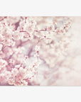 A dreamy image of delicate pink cherry blossoms in full bloom, set against a soft, textured background, conveying a sense of serene spring beauty and floral elegance featuring the Pink Floral Print 'Dreamy Blossom' by Offley Green.