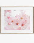 Pink Flower Print, 'Cherry Blossom'