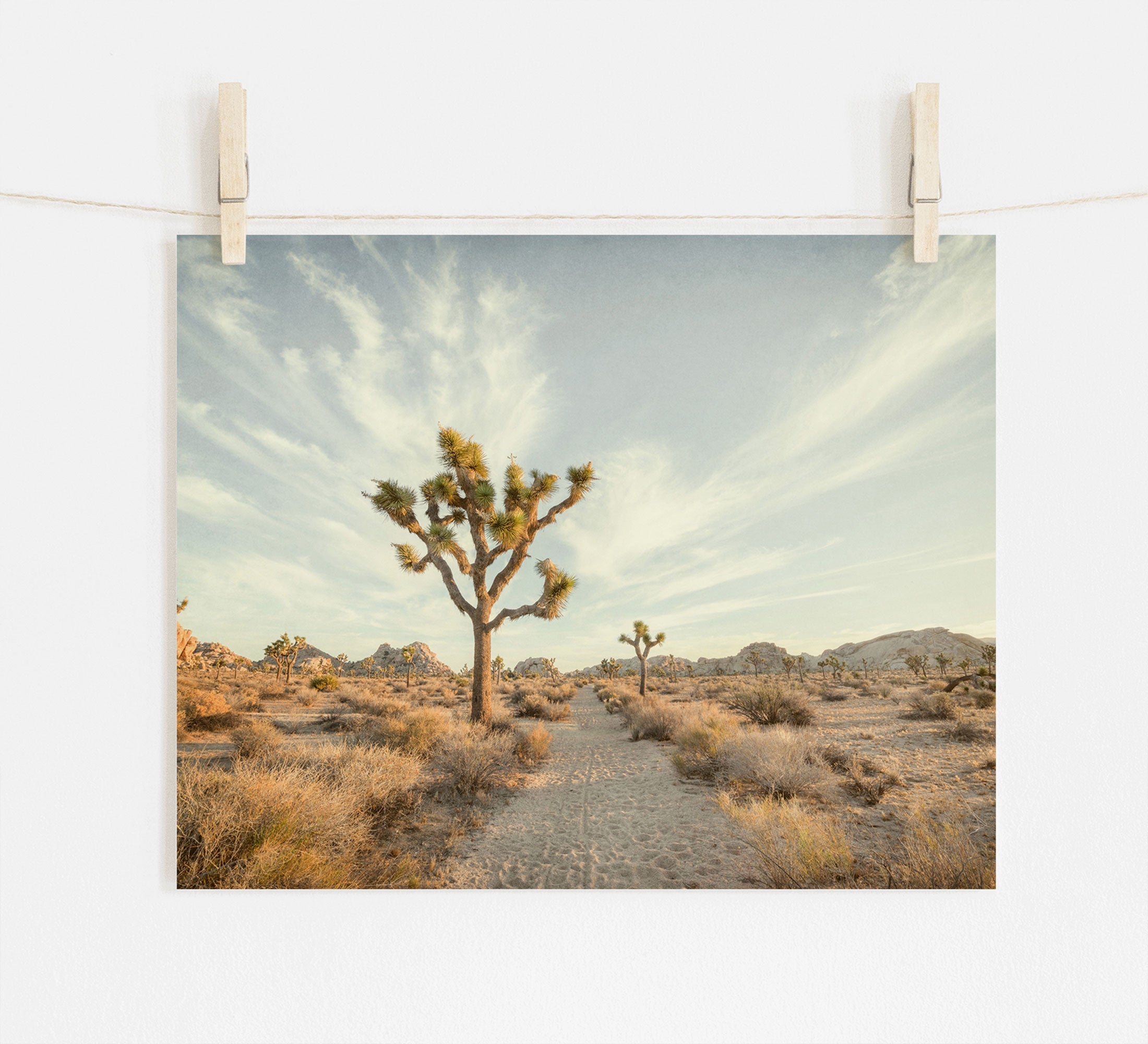 A photograph of a 'Path to Joshua' joshua tree print by Offley Green, printed on archival photographic paper and pinned to a clothesline by two wooden clothespins against a clear sky background. The scene is serene with