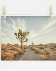 A photograph of a 'Path to Joshua' joshua tree print by Offley Green, printed on archival photographic paper and pinned to a clothesline by two wooden clothespins against a clear sky background. The scene is serene with