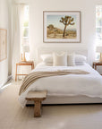 Joshua Tree Print, 'Mighty Joshua'