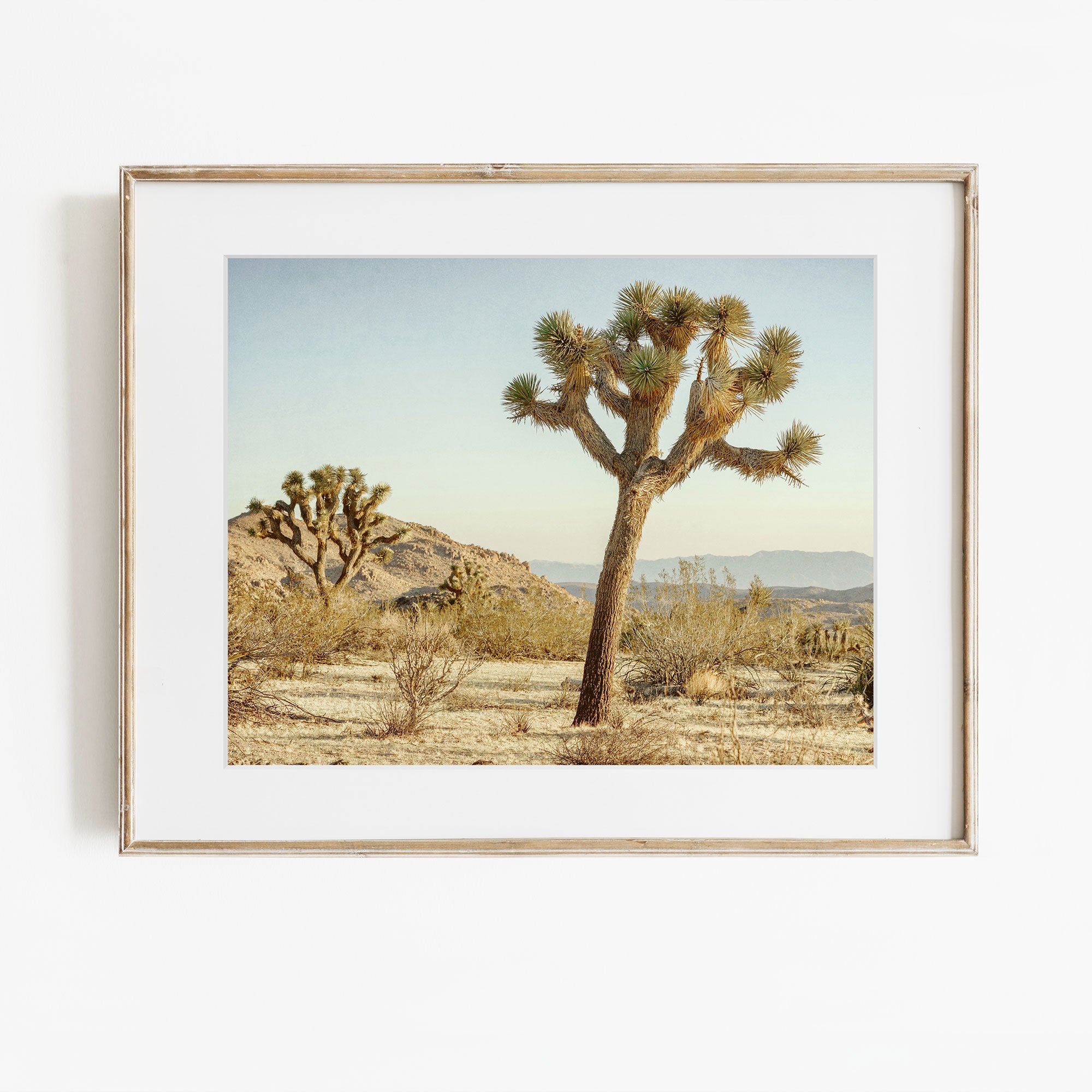 Joshua Tree Wall Art, 'Mighty Joshua' Unframed Print – Offley Green