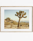 Joshua Tree Print, 'Mighty Joshua'