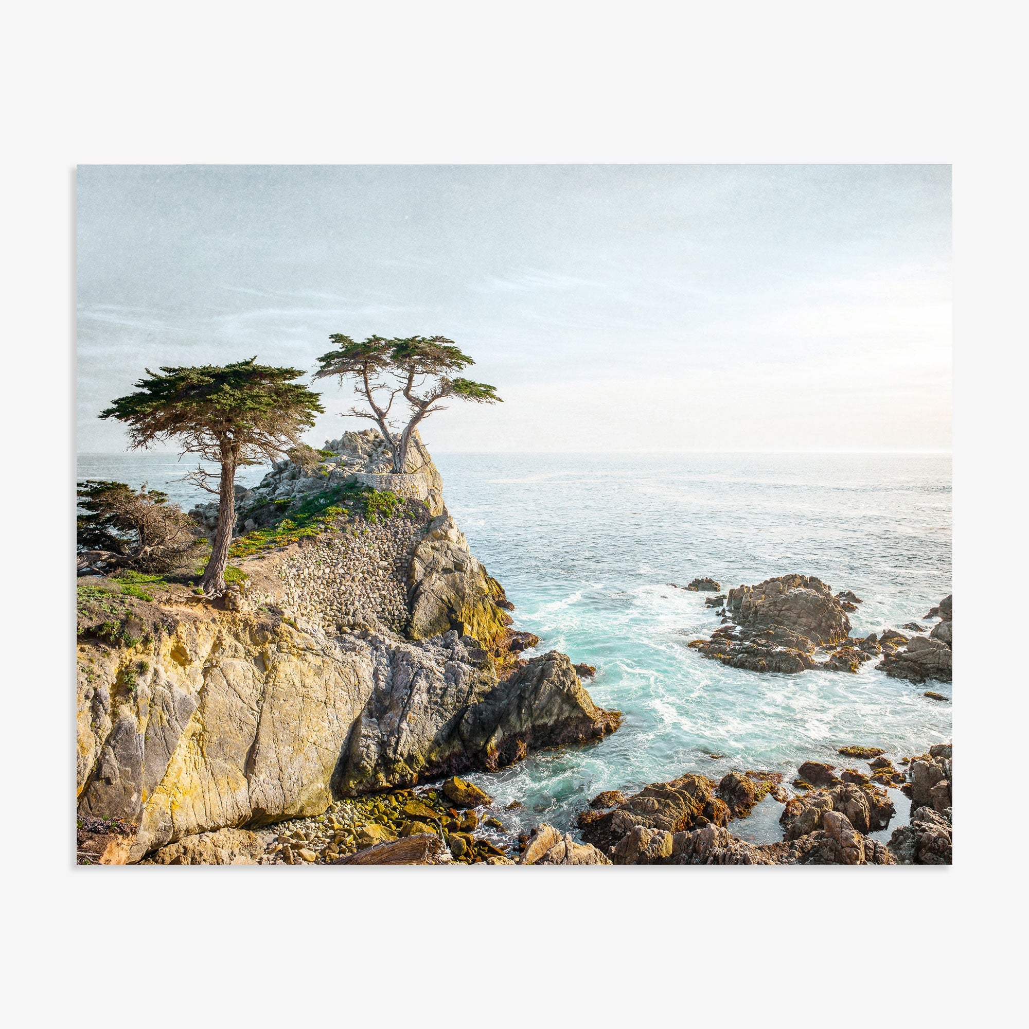 A serene coastal scene with rugged cliffs and a few trees overlooking the sparkling blue ocean under a clear sky. Light filters softly, creating a dreamy and tranquil atmosphere, perfect for Offley Green&#39;s California Coastal Print, &#39;Lone Cypress&#39; photography.