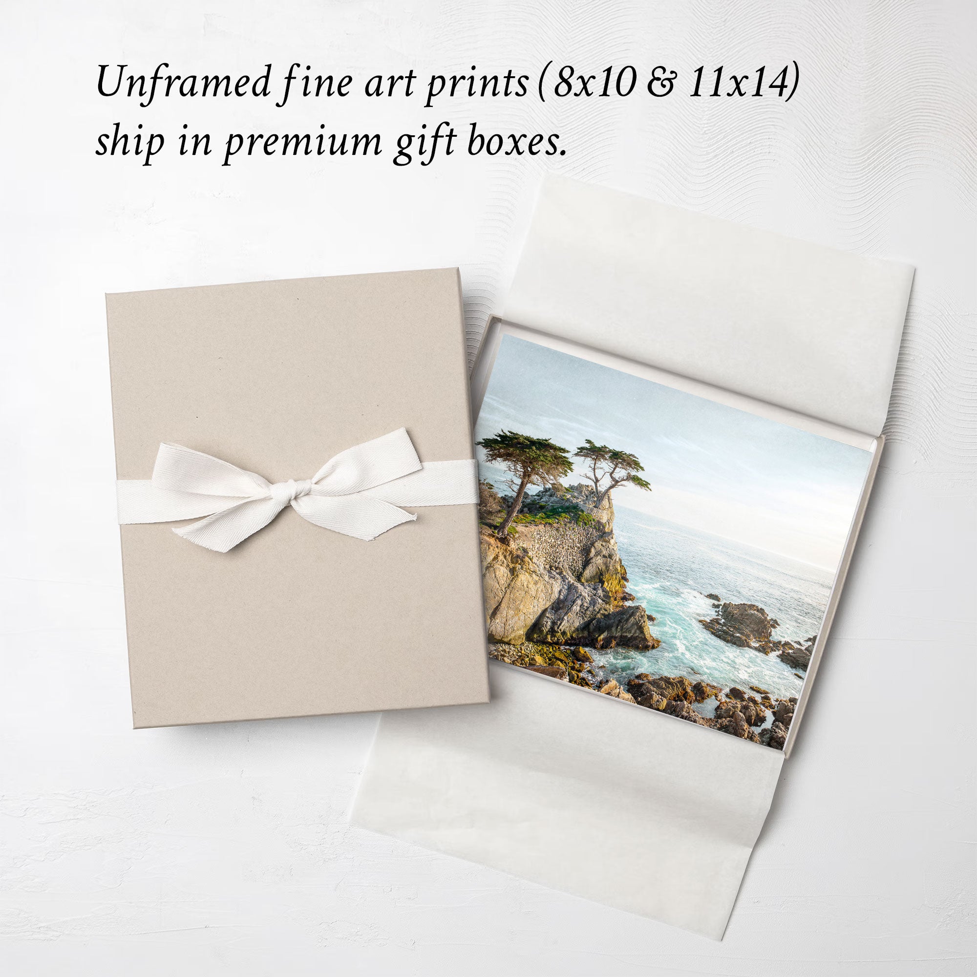California Coastal Print, 'Lone Cypress'