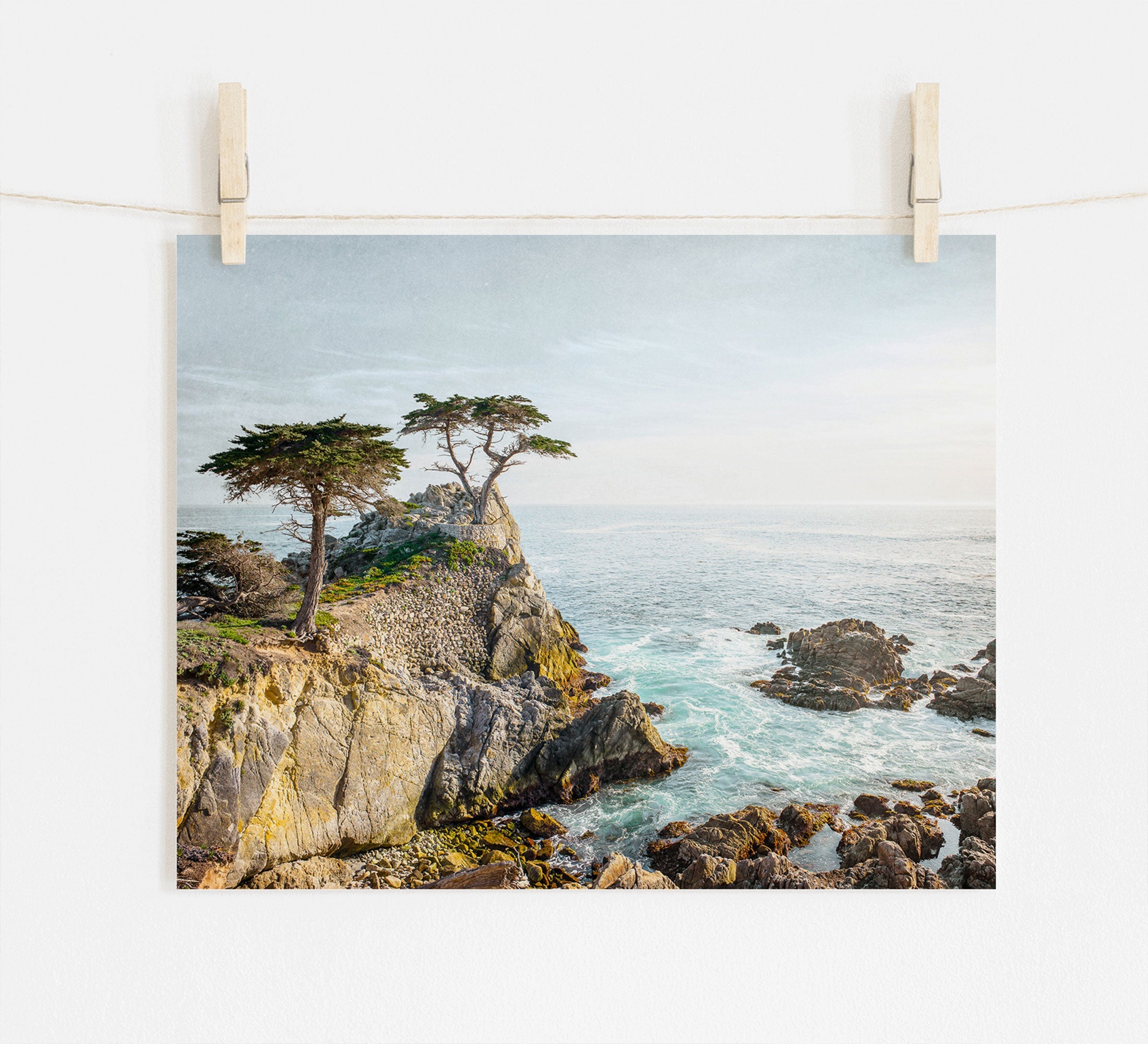 A serene photograph of California Coastal Print, 'Lone Cypress' from Offley Green with two trees atop a cliff overlooking the ocean, pinned to a white wall with wooden clothespins.