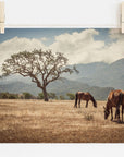 Two 'Santa Ynez Horses' graze in a sunlit field near a lone tree in the Santa Ynez Valley, with mountains and clouds in the background, depicted as a photograph hung by clothespins.