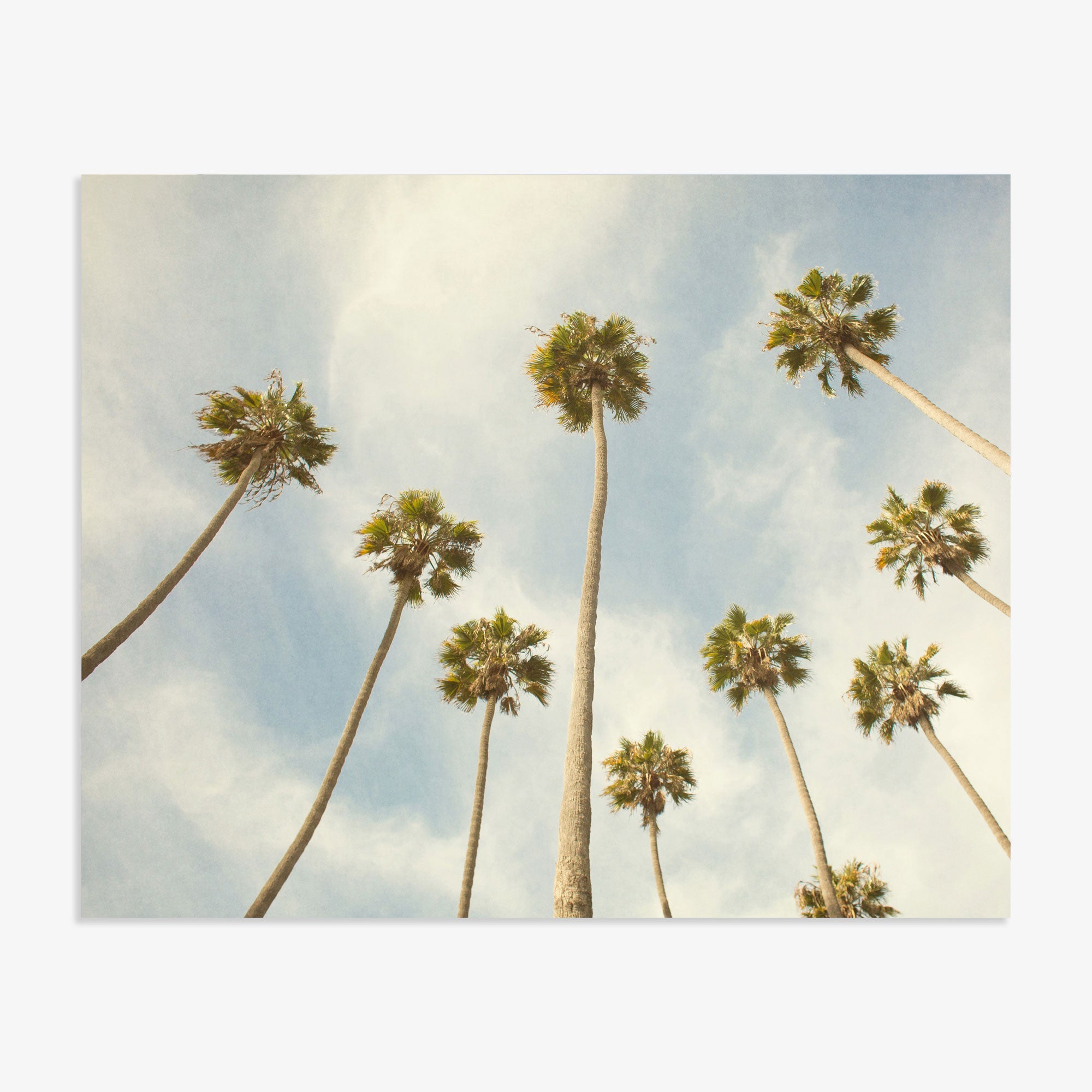 Palm Tree Print, California Beach Scene 'Reach for the Palms'