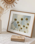 Palm Tree Print, California Beach Scene 'Reach for the Palms'