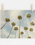 Palm Tree Print, California Beach Scene 'Reach for the Palms'