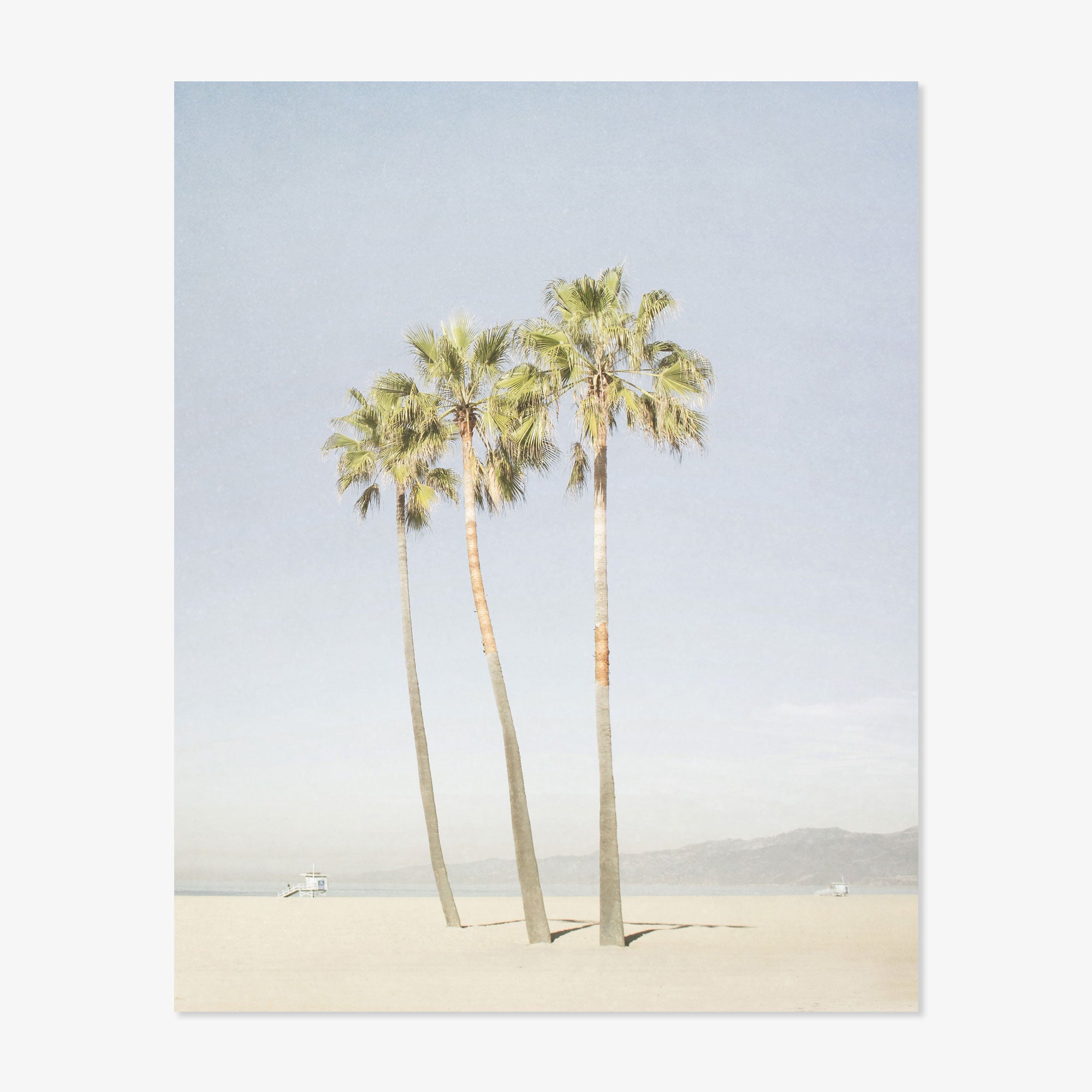 California Venice Beach Print, &#39;Three Palms&#39;