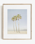 California Venice Beach Print, 'Three Palms'