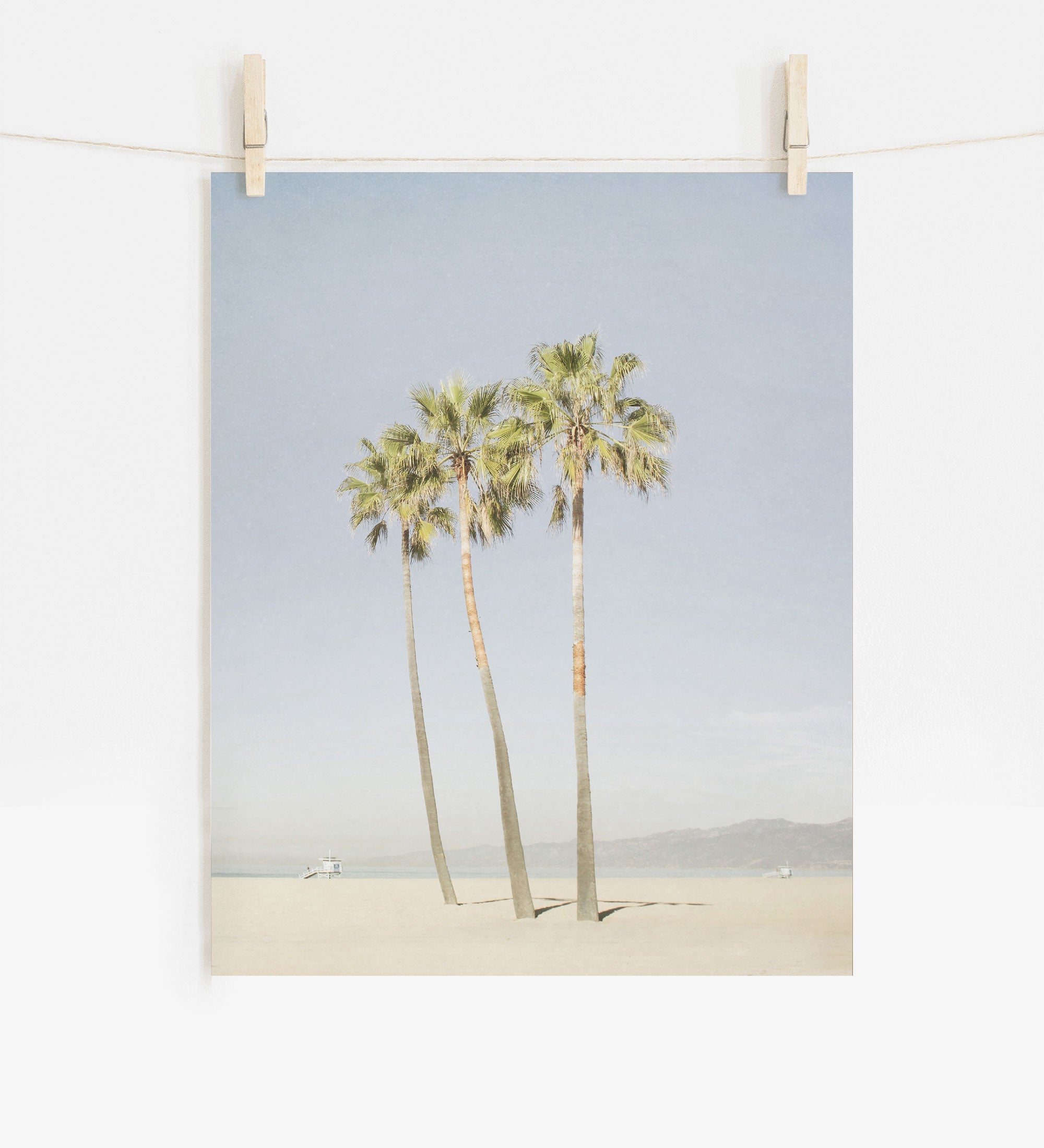 A photograph of the Offley Green California Venice Beach Print, 'Three Palms', captured near Venice Beach, pinned to a white wall by wooden clothespins on a string.
