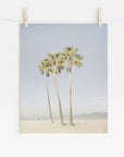 California Venice Beach Print, 'Three Palms'