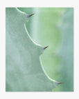 Close-up view of an Offley Green Aloe Vera Spikes II print showing the spiky edges and detailed textures of the plant's surface, with a soft green blurred background.
