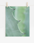 Green Botanical Print, 'Aloe Vera Spikes II'