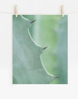 A close-up photo of a green Offley Green Botanical Print, 'Aloe Vera Spikes II' leaf with sharp thorns, hung by clothespins on a string against a blurred background.