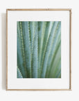 Green Botanical Print, 'Strands and Spikes II'