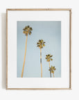 Los Angeles Palm Tree Photographic Print 'Palm Stairs to Heaven'