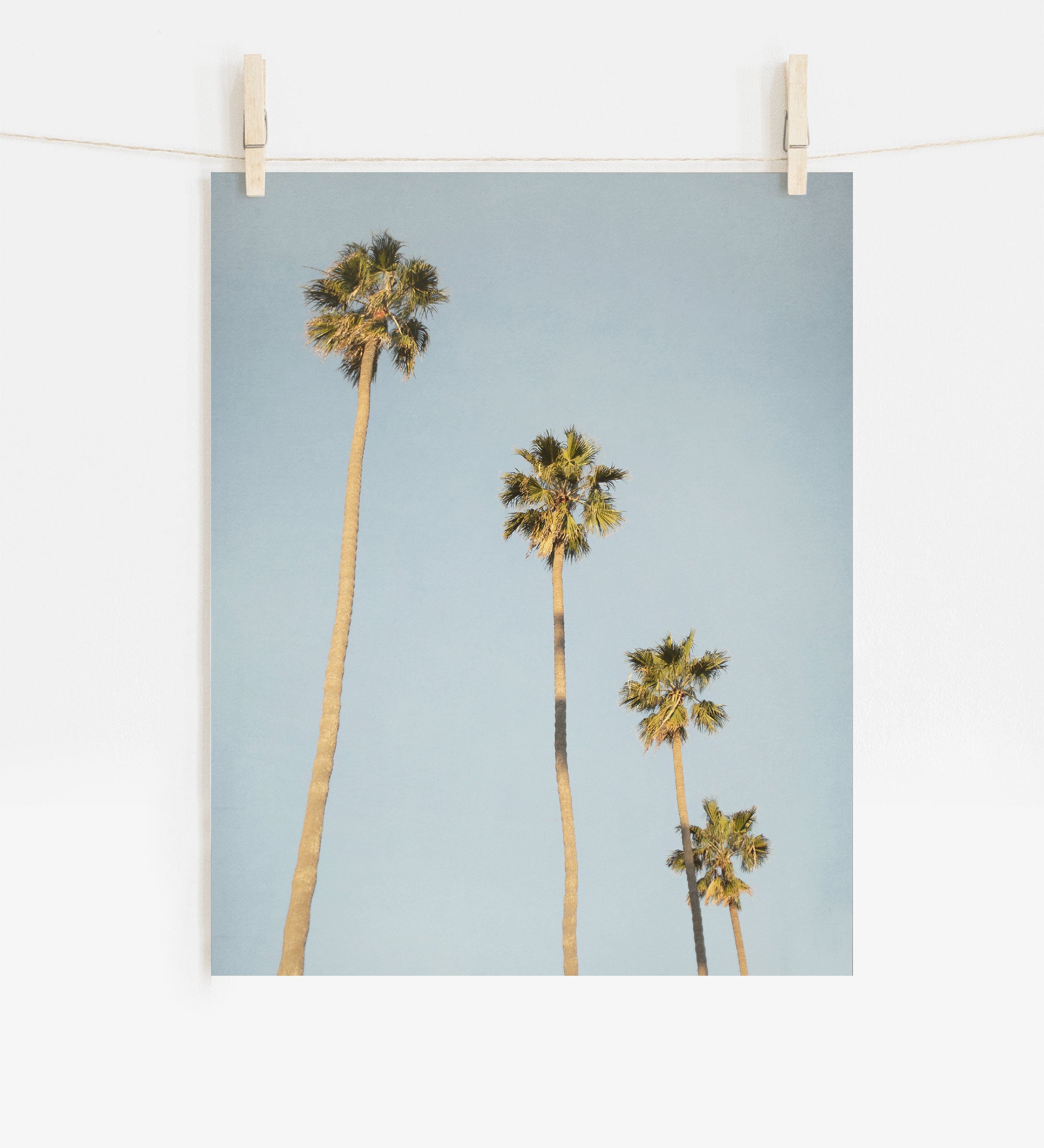 A photograph of Los Angeles Palm Tree Photographic Print &#39;Palm Stairs to Heaven&#39;, by Offley Green, clipped to a string by two wooden clothespins at the top, hanging against a white wall.
