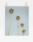 Los Angeles Palm Tree Photographic Print 'Palm Stairs to Heaven'