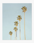 Five tall Offley Green 'Palm Tree Steps' prints against a clear blue sky, with two prints distinctly taller than the others, all exhibiting fluffy, green fronds at the top in true California style.