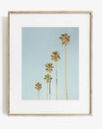 Los Angeles Palm Tree Photographic Print 'Palm Tree Steps'