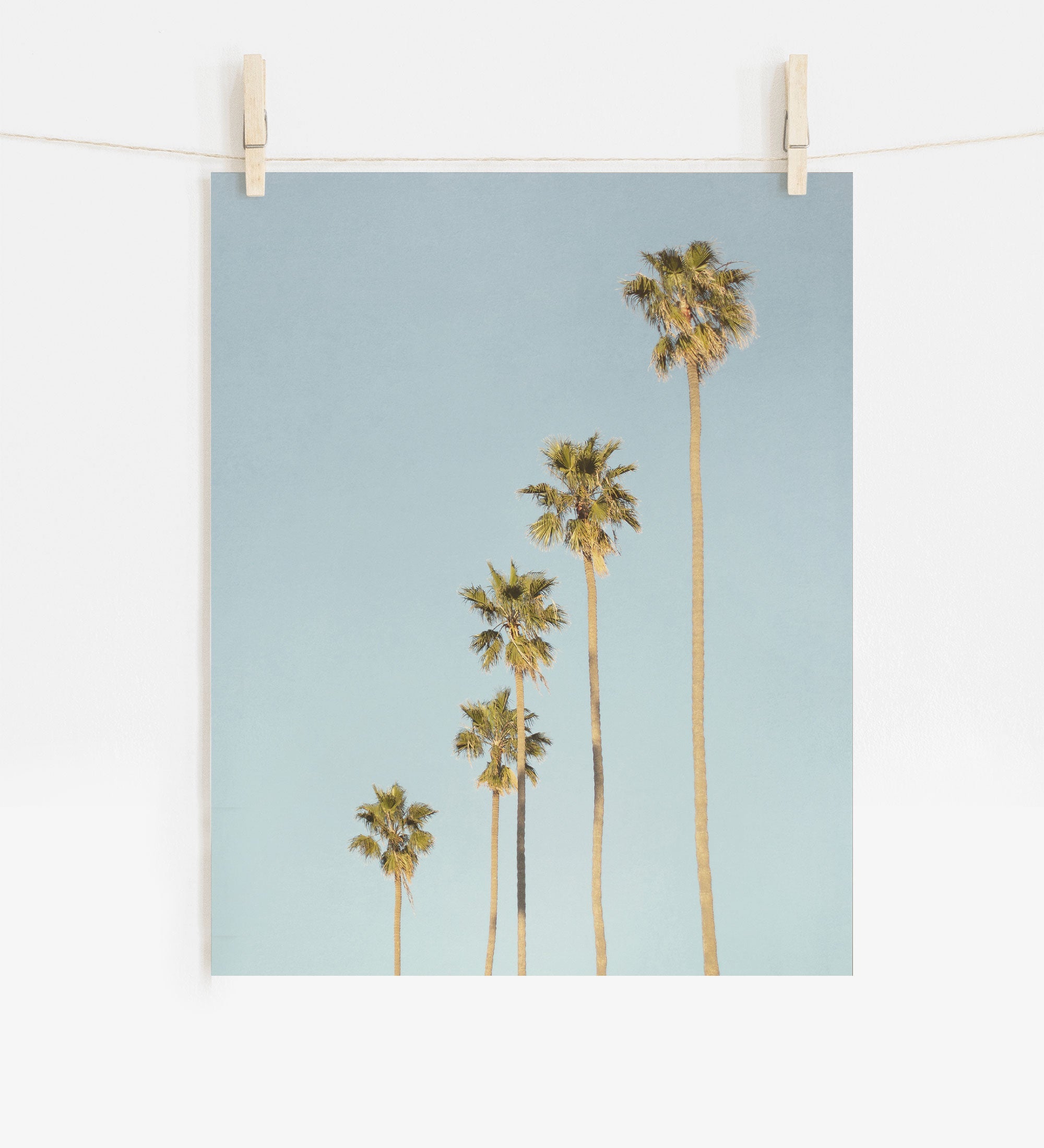 A photo of tall palm trees against a blue sky, clipped to a string with two wooden clothespins in California style, suggesting the image is hanging for display is the Offley Green Los Angeles Palm Tree Photographic Print 'Palm Tree Steps'.