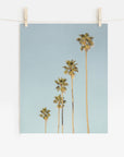 Los Angeles Palm Tree Photographic Print 'Palm Tree Steps'